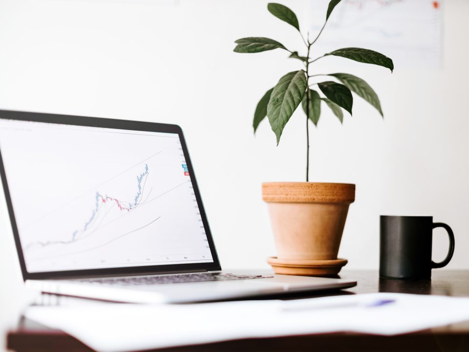 Why Businesses Thrive Faster with Professional Advertising Expertise from Sumner Group